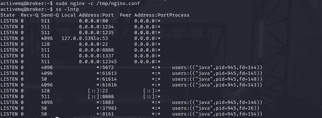 Running Nginx with Custom Config